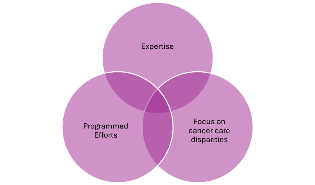 Diagram showing how Expertise, Programmed Efforts and Focus on Cancer Care Disparities come together.