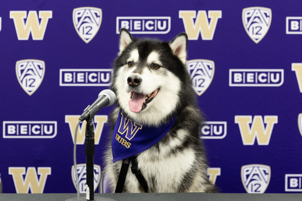 UW Image of Husky