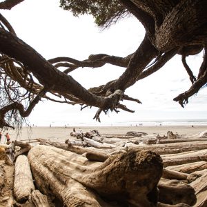 UW photo of the beach park