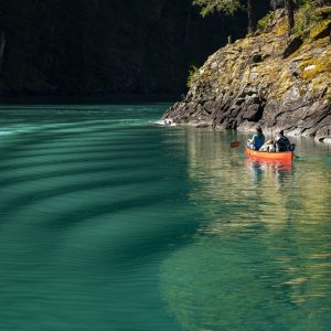 UW Photo of Kayakers