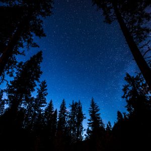 UW Photo of starry night sky